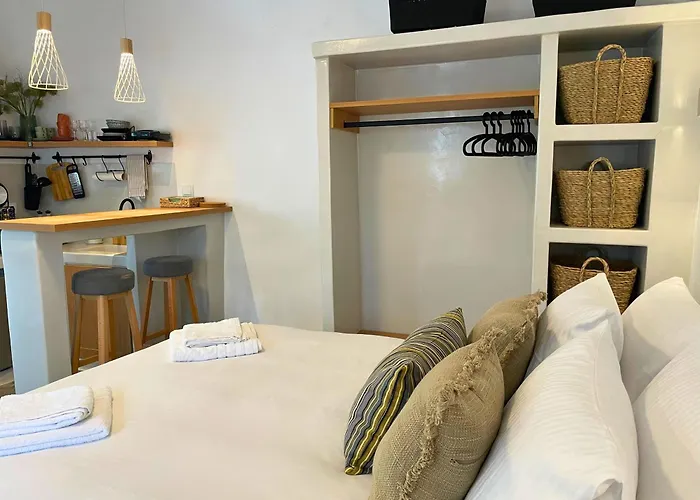 Dryopis Studio